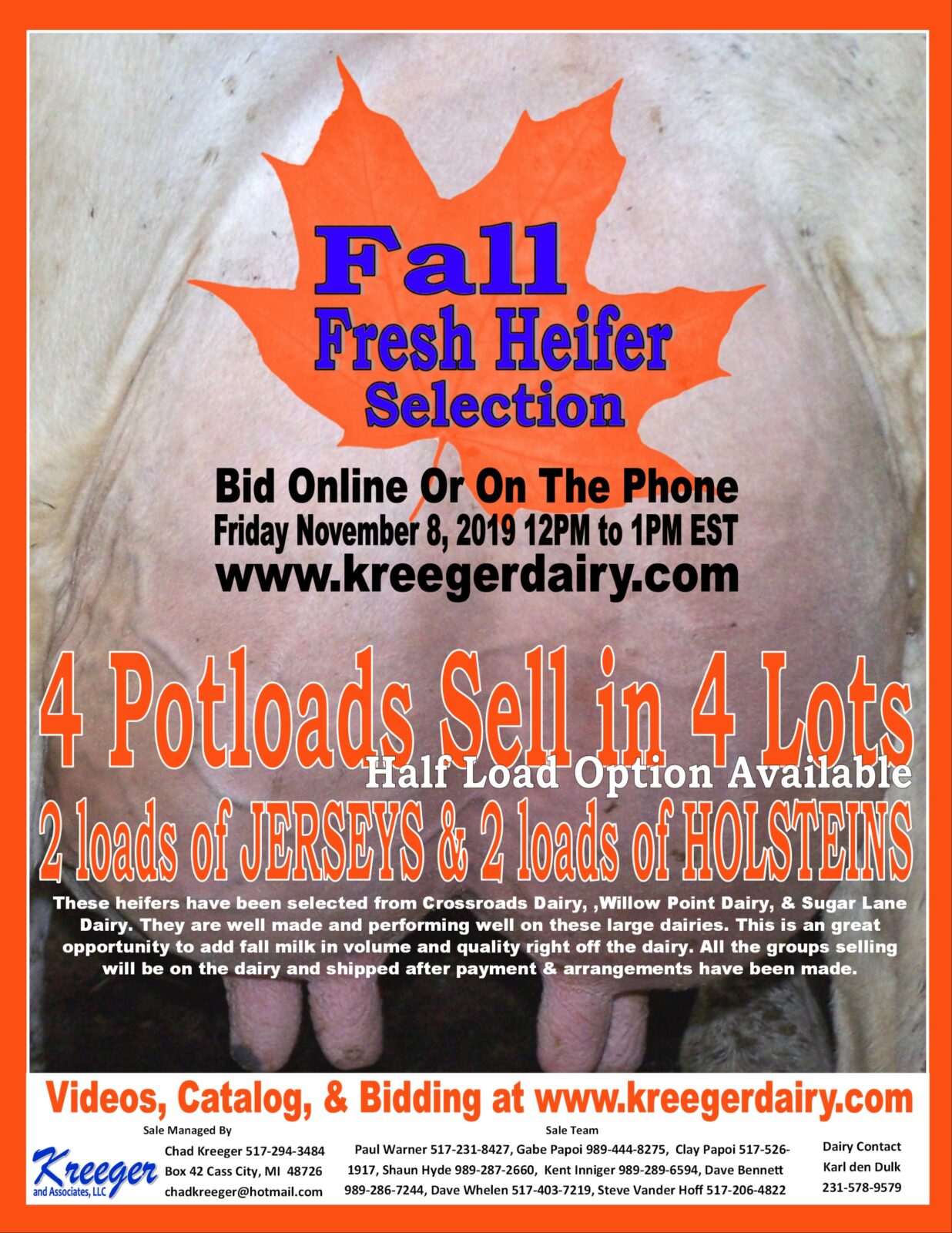Fall Fresh Heifer Flyer
