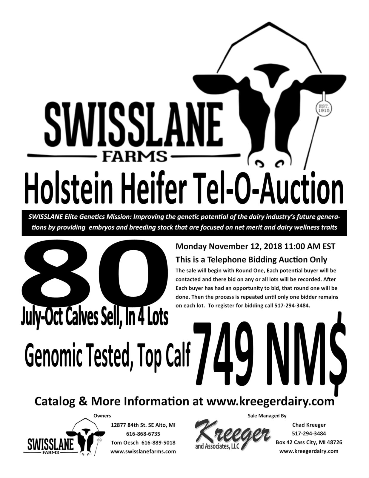 Swisslane Flyer
