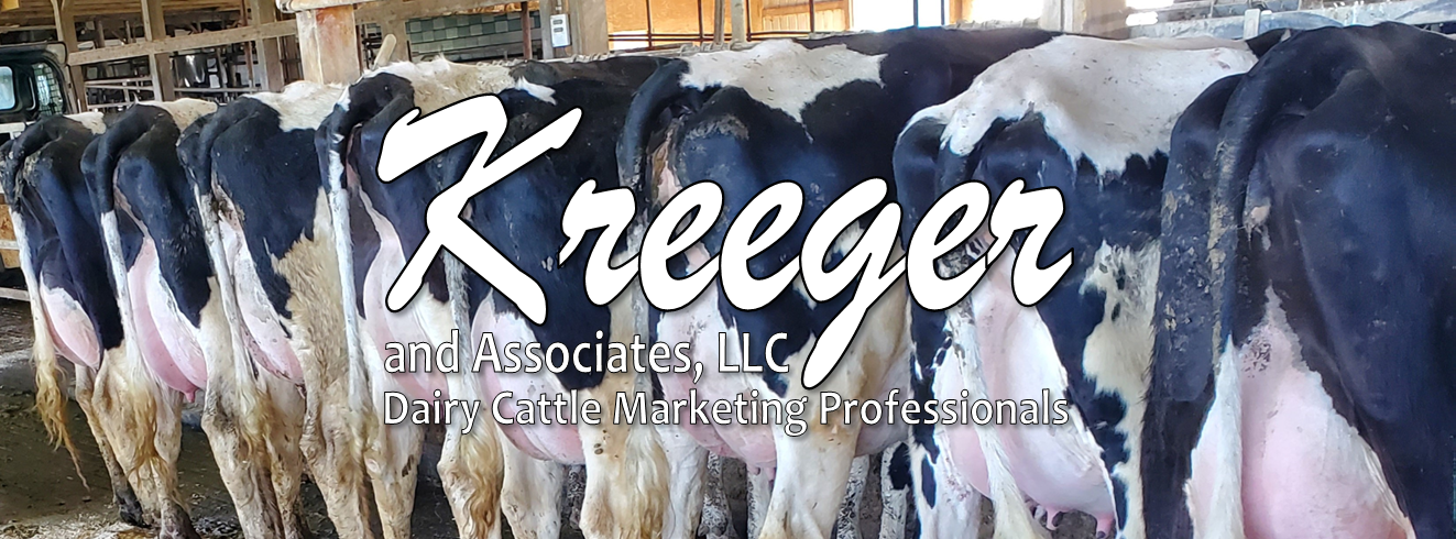Kreeger and Associates, LLC