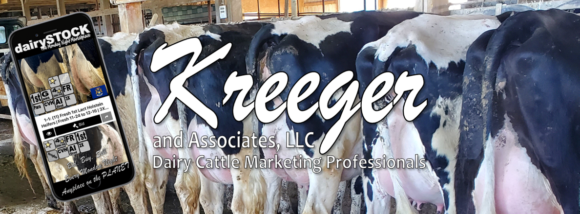 Kreeger and Associates, LLC