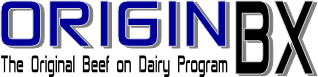 Origin BX logo Origin BX logo