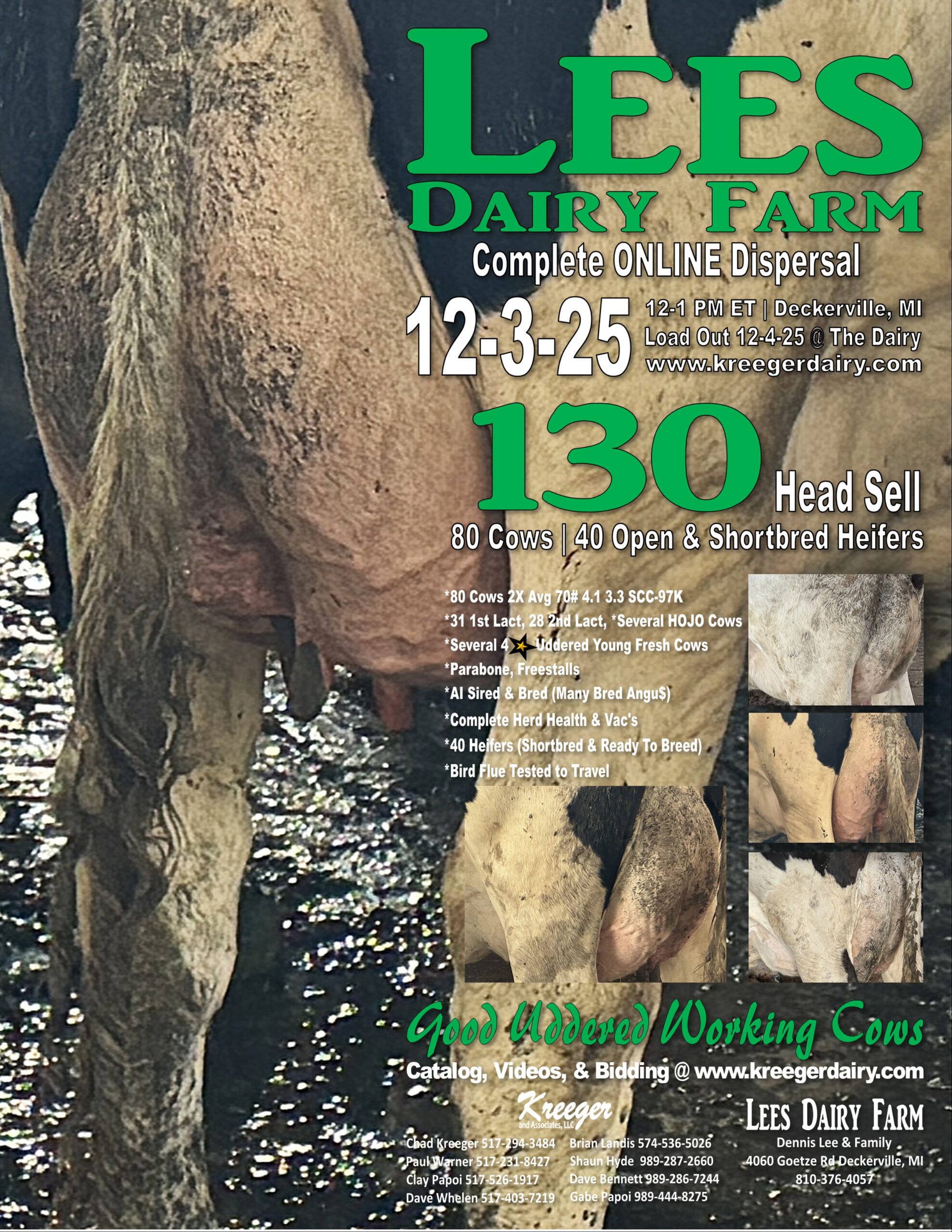 Flyer Flyer