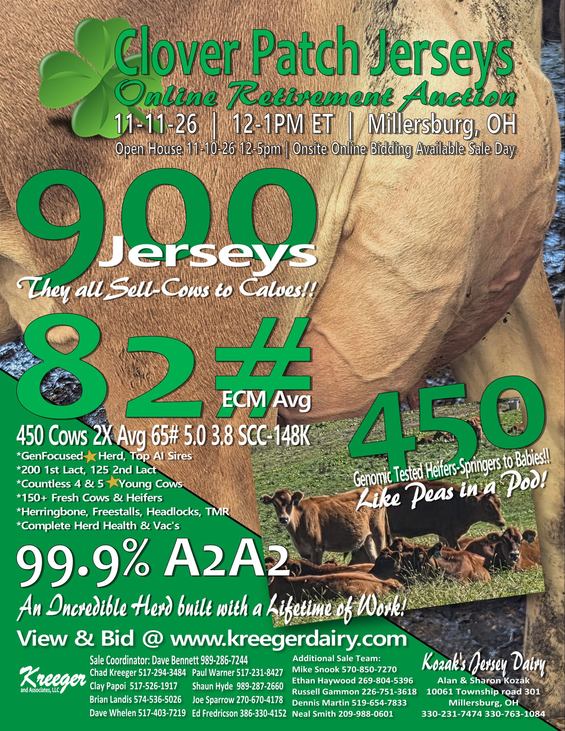 CP Flyer